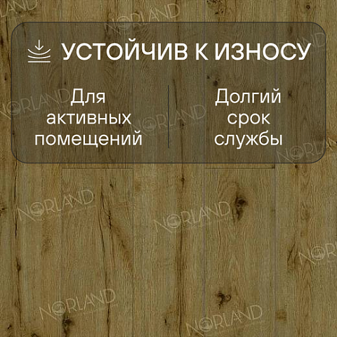 Norland Elegant Strong 12 4V 34 (CH) LF302-14 Дуб Скай (фото 3)