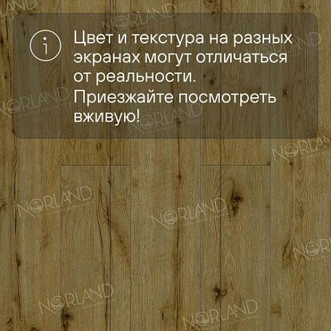 Norland Elegant Strong 12 4V 34 (CH) LF302-14 Дуб Скай (фото 10)