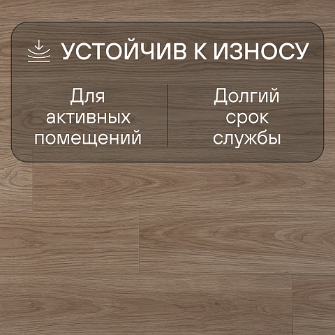 Deck Elegant 8 32 V4 DECK 105 Дуб Карамель (фото 6)