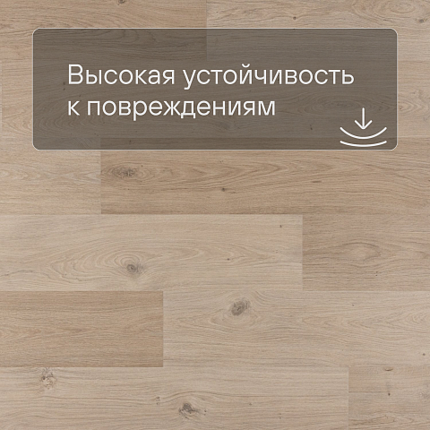 QS Alpha Vinyl BLOS BASE планка AVSPT 40321 Дуб береговой бежевый (фото 5)