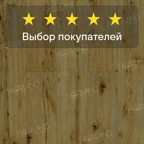 Norland Elegant Strong 12 4V 34 (CH) LF302-14 Дуб Скай (фото 5)