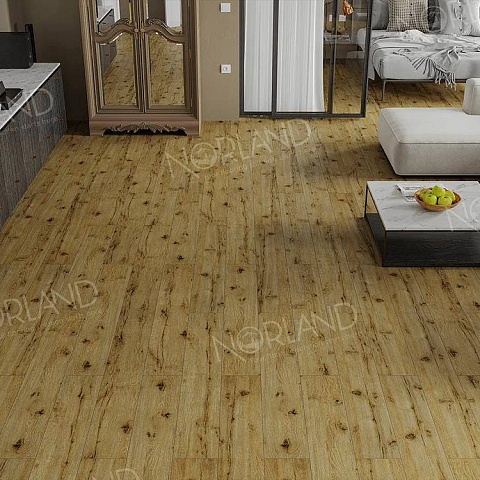 Norland Elegant Strong 12 4V 34 (CH) LF302-14 Дуб Скай (фото 7)