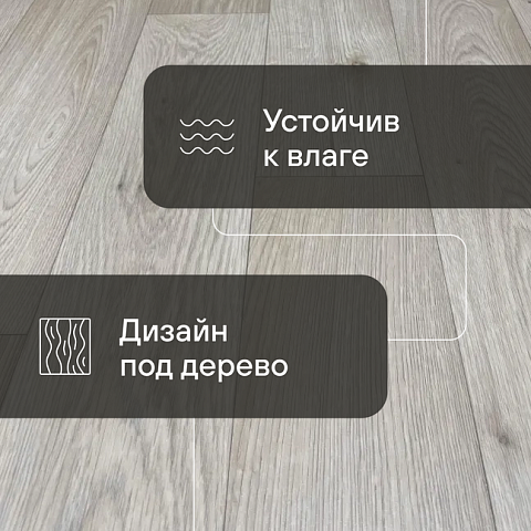 Атлас  Нардо 752 - 1.8 (фото 6)
