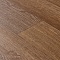 Premium Falco 4_3459 (миниатюра фото 10)