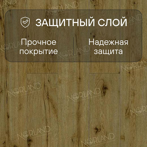 Norland Elegant Strong 12 4V 34 (CH) LF302-14 Дуб Скай (фото 2)