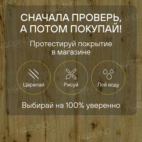 Norland Elegant Strong 12 4V 34 (CH) LF302-14 Дуб Скай (фото 6)