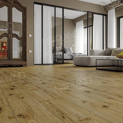 Norland Elegant Strong 12 4V 34 (CH) LF302-14 Дуб Скай (фото 8)