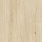 Alpine Floor SPC Grand Sequoia ЕСО 11-26 Кипарисовая 4V 43кл (миниатюра фото 1)