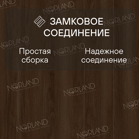 Norland Elegant 8 4V 33 (CH) LF301-22 Дуб Треско (фото 4)