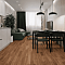 Premium Falco 4_3459 (миниатюра фото 2)
