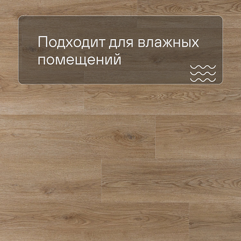 Norland Sigrid SPC (CH) 1001-20 Niky 4V 34кл (фото 2)