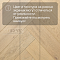 DW FLOORING Елка Английская 14 мм Дуб бежевый DW 304U лак матовый с фаской (миниатюра фото 5)