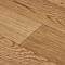 Premium AS Falco 2_1159 (миниатюра фото 12)
