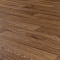 Premium Falco 4_3459 (миниатюра фото 12)